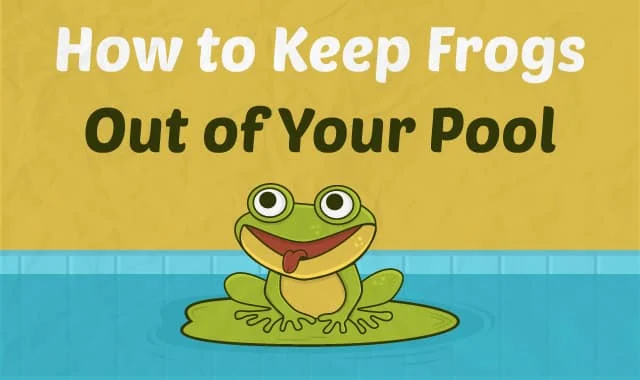 Keeping Frogs Out of Your Pool