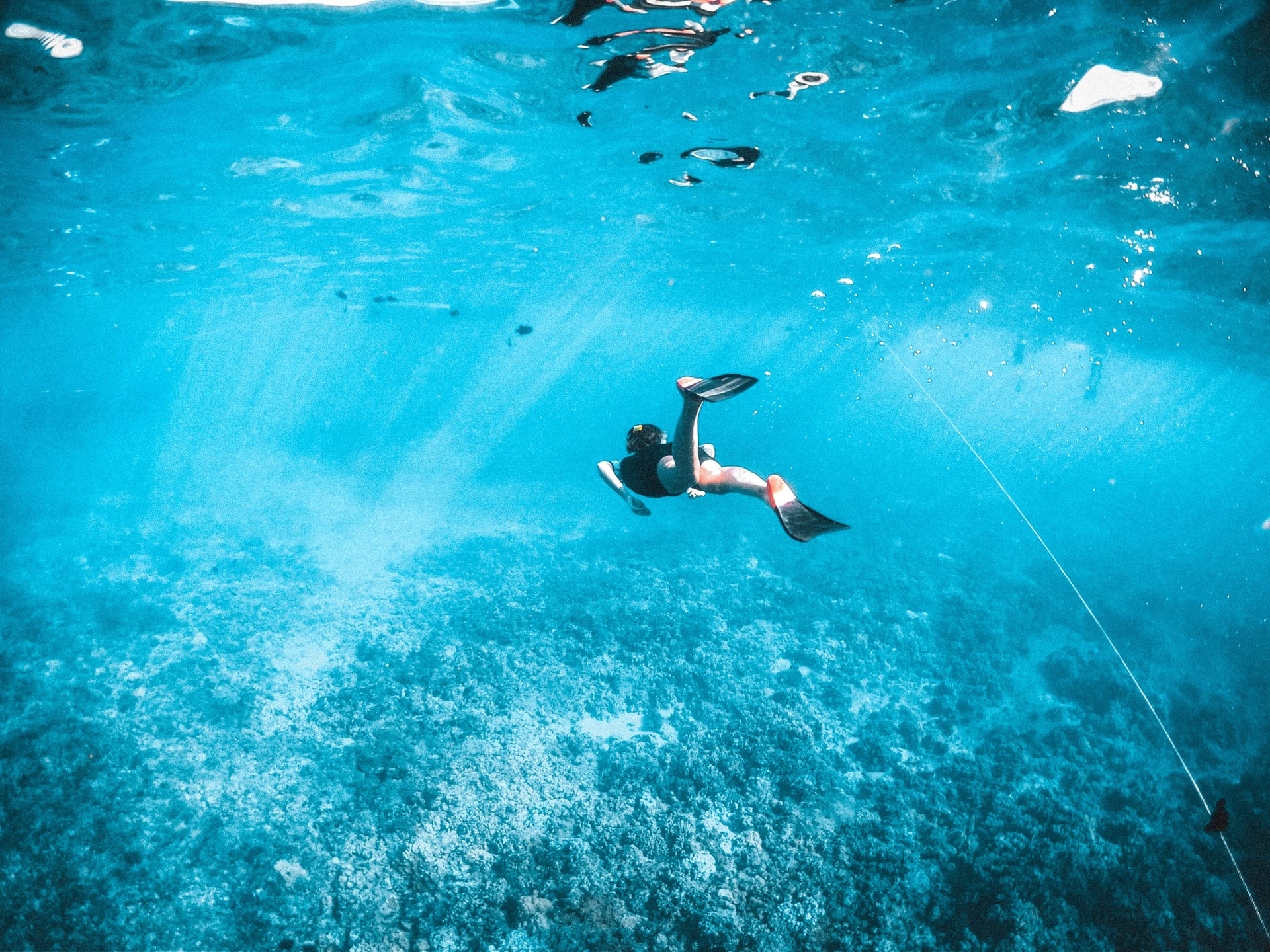 Do You Need To Know How To Swim To Snorkel? With 6 Tips
